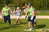 Essen Assindia Cardinals vs. Bonn Gamecocks - 06.05.2017 GFL2: Essen Assindia Cardinals vs. Bonn Gamecocks (35:18)