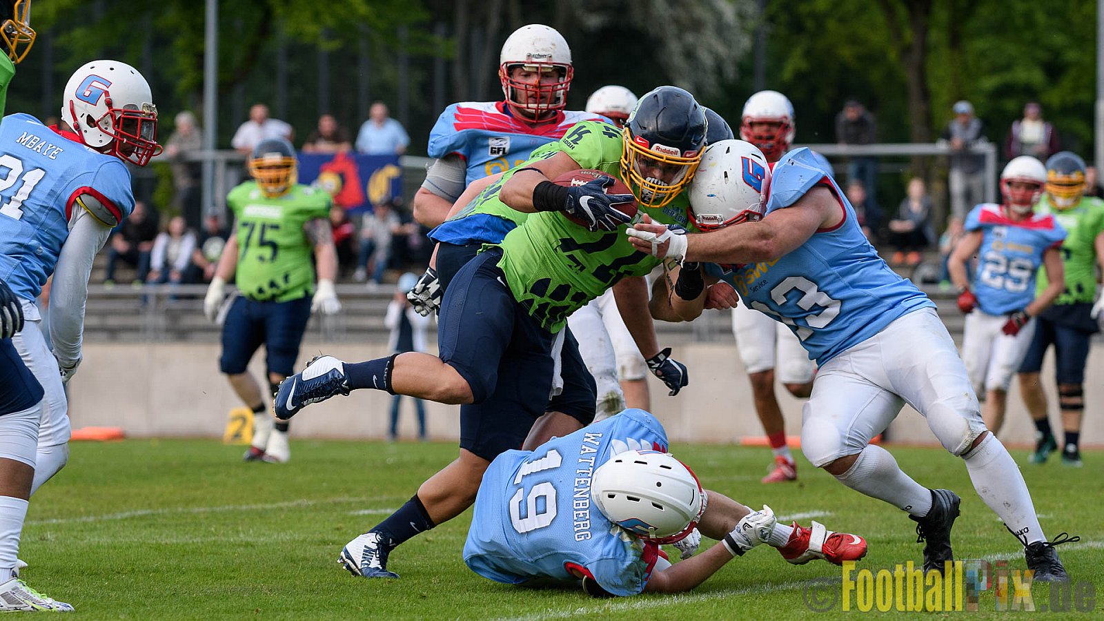 Essen Assindia Cardinals vs. Bonn Gamecocks - 06.05.2017 GFL2: Essen Assindia Cardinals vs. Bonn Gamecocks (35:18)