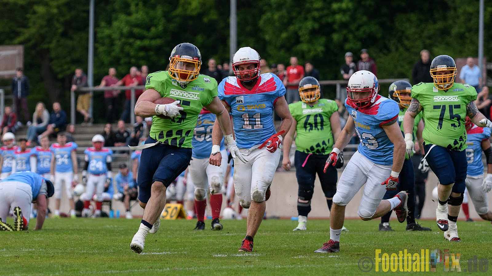 Essen Assindia Cardinals vs. Bonn Gamecocks - 06.05.2017 GFL2: Essen Assindia Cardinals vs. Bonn Gamecocks (35:18)
