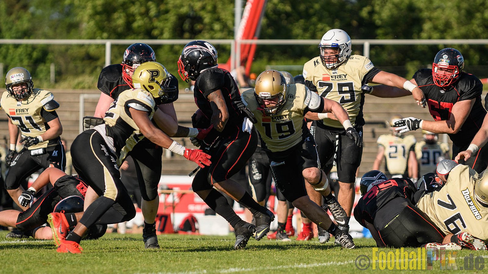 Düsseldorf Panther vs. Paderborn Dolphins - 27.05.2017 GFL2: Düsseldorf Panther vs. Paderborn Dolphins (16:0)