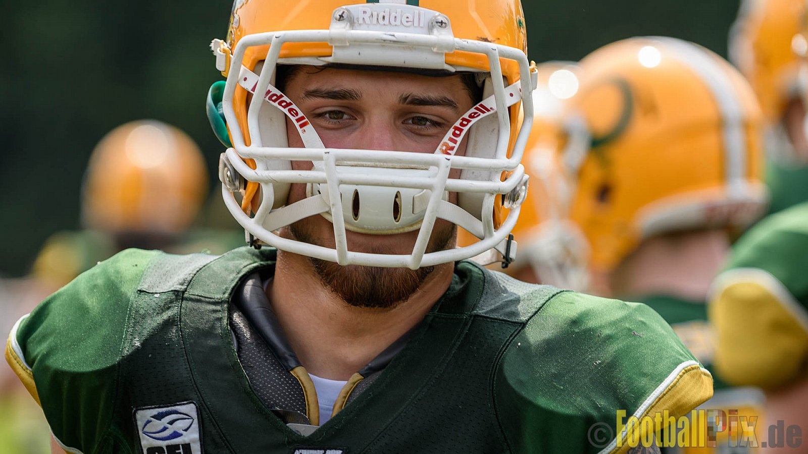 Cologne Crocodiles vs. Kiel Baltic Hurricanes - 29.05.2017 GFL Nord: Cologne Crocodiles vs. Kiel Baltic Hurricanes (41:65)