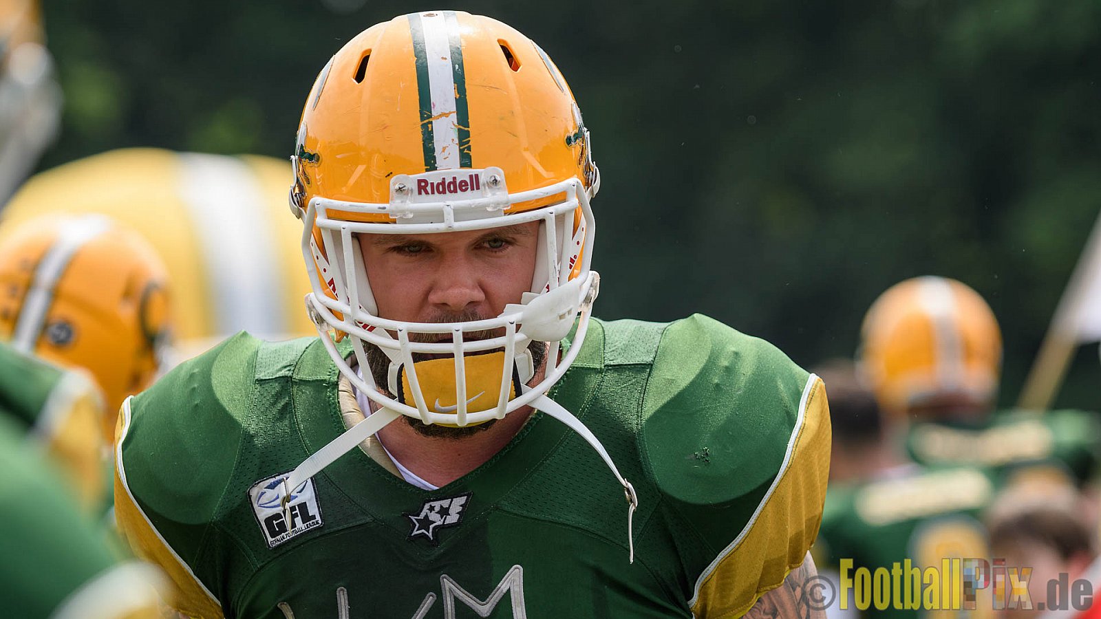 Cologne Crocodiles vs. Kiel Baltic Hurricanes - 29.05.2017 GFL Nord: Cologne Crocodiles vs. Kiel Baltic Hurricanes (41:65)