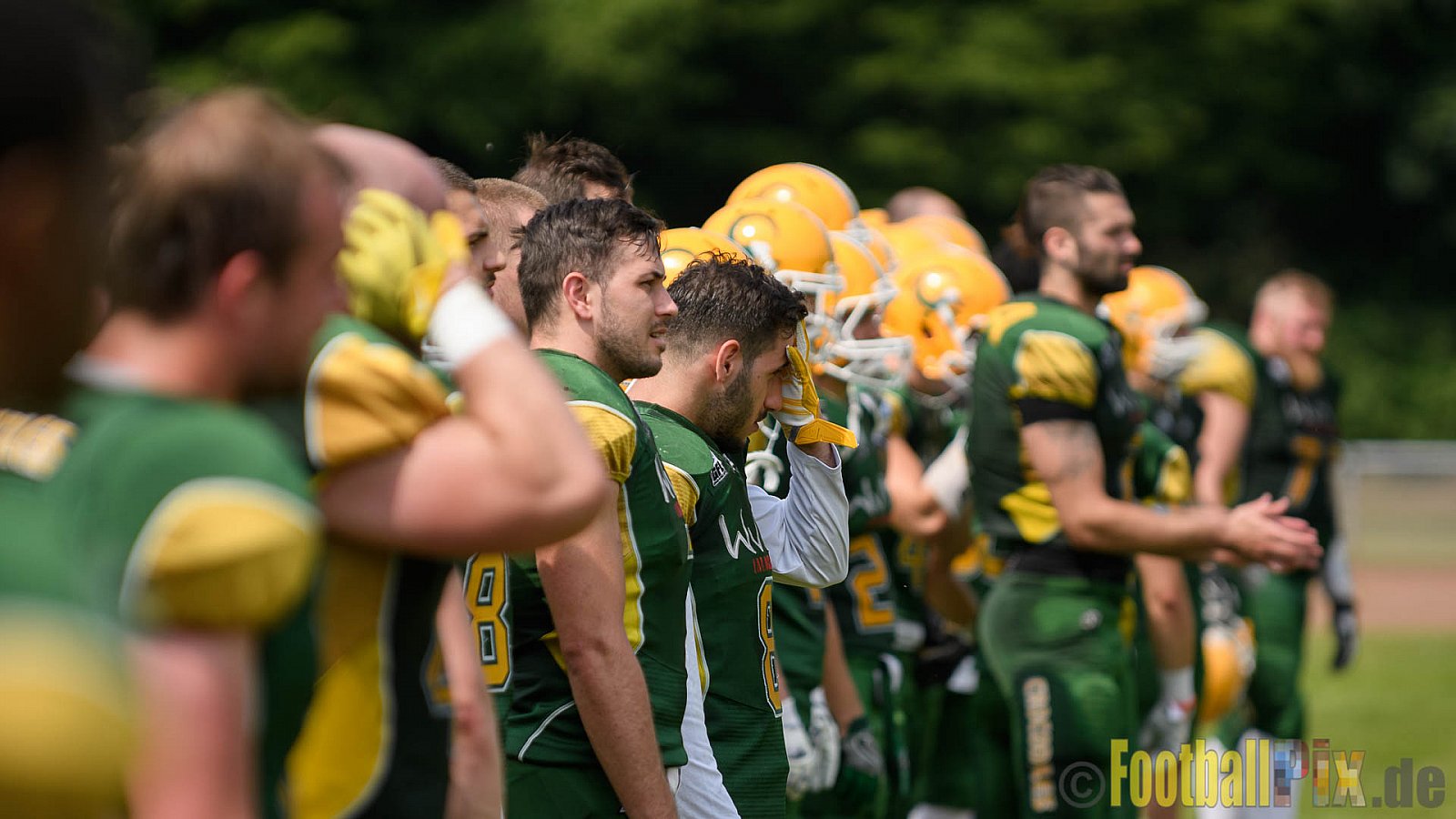 Cologne Crocodiles vs. Kiel Baltic Hurricanes - 29.05.2017 GFL Nord: Cologne Crocodiles vs. Kiel Baltic Hurricanes (41:65)