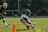 Cologne Crocodiles vs. Kiel Baltic Hurricanes - 29.05.2017 GFL Nord: Cologne Crocodiles vs. Kiel Baltic Hurricanes (41:65)