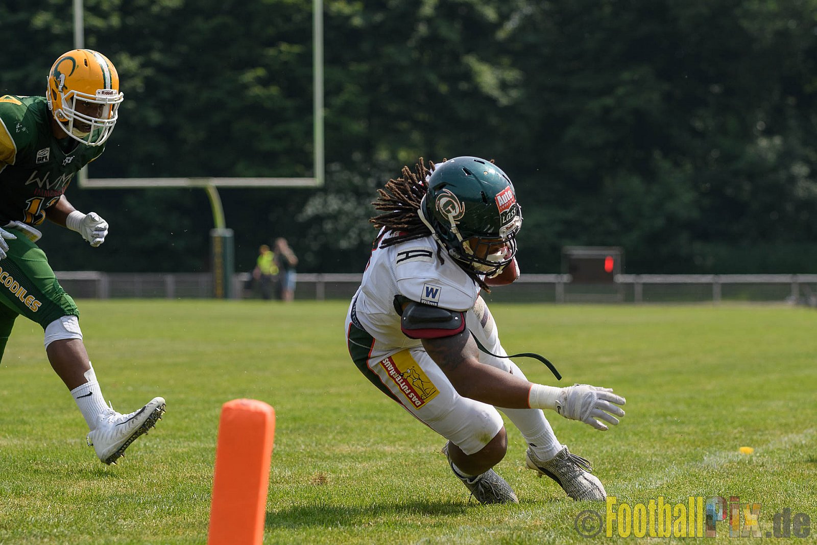 Cologne Crocodiles vs. Kiel Baltic Hurricanes - 29.05.2017 GFL Nord: Cologne Crocodiles vs. Kiel Baltic Hurricanes (41:65)