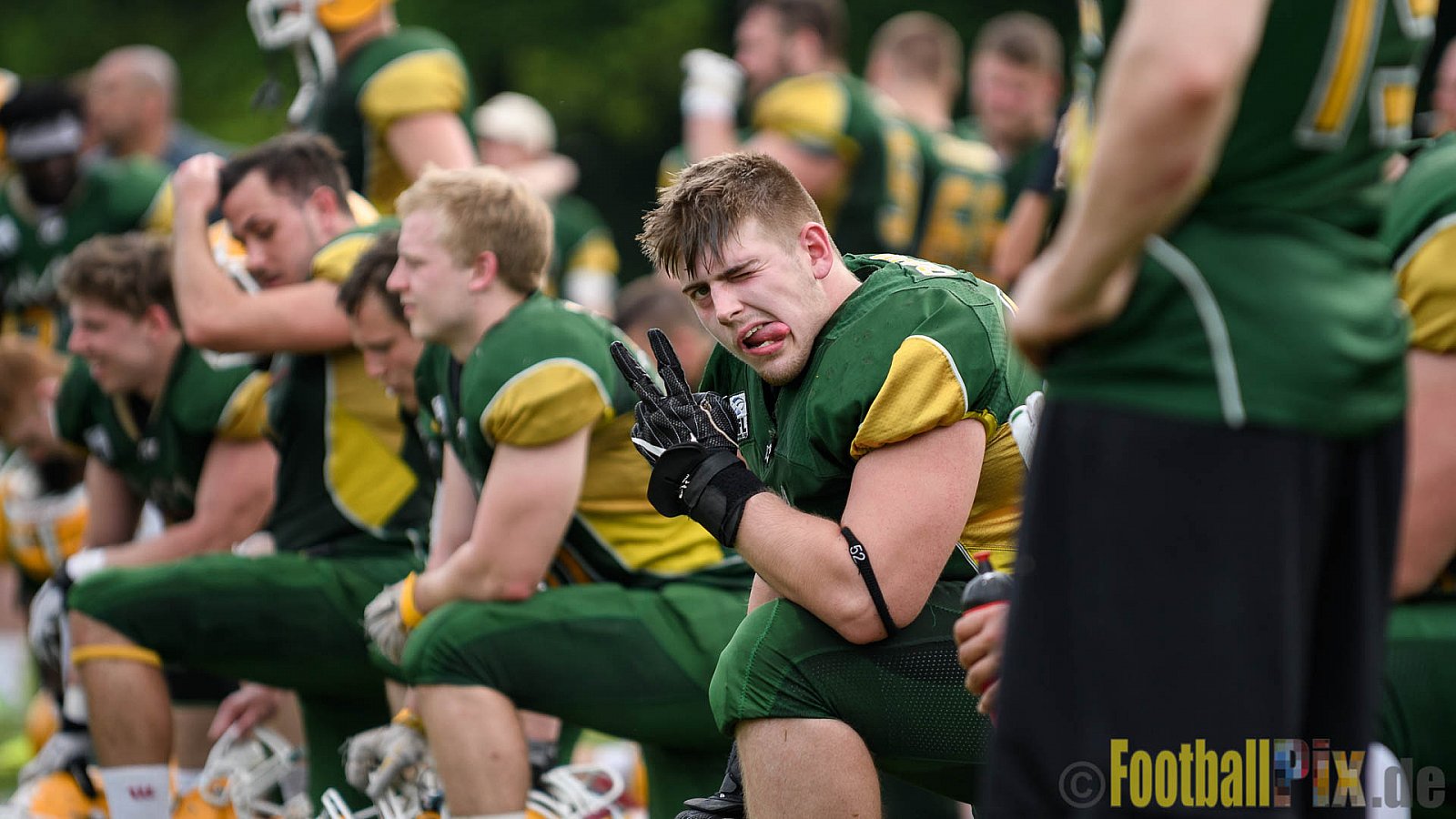 Cologne Crocodiles vs. Kiel Baltic Hurricanes - 29.05.2017 GFL Nord: Cologne Crocodiles vs. Kiel Baltic Hurricanes (41:65)