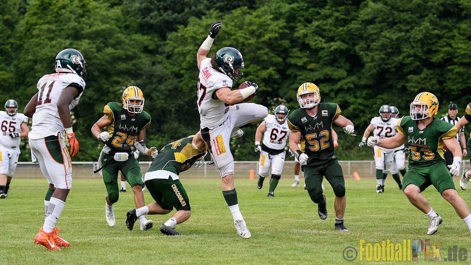Cologne Crocodiles vs. Kiel Baltic Hurricanes - 29.05.2017 GFL Nord: Cologne Crocodiles vs. Kiel Baltic Hurricanes (41:65)
