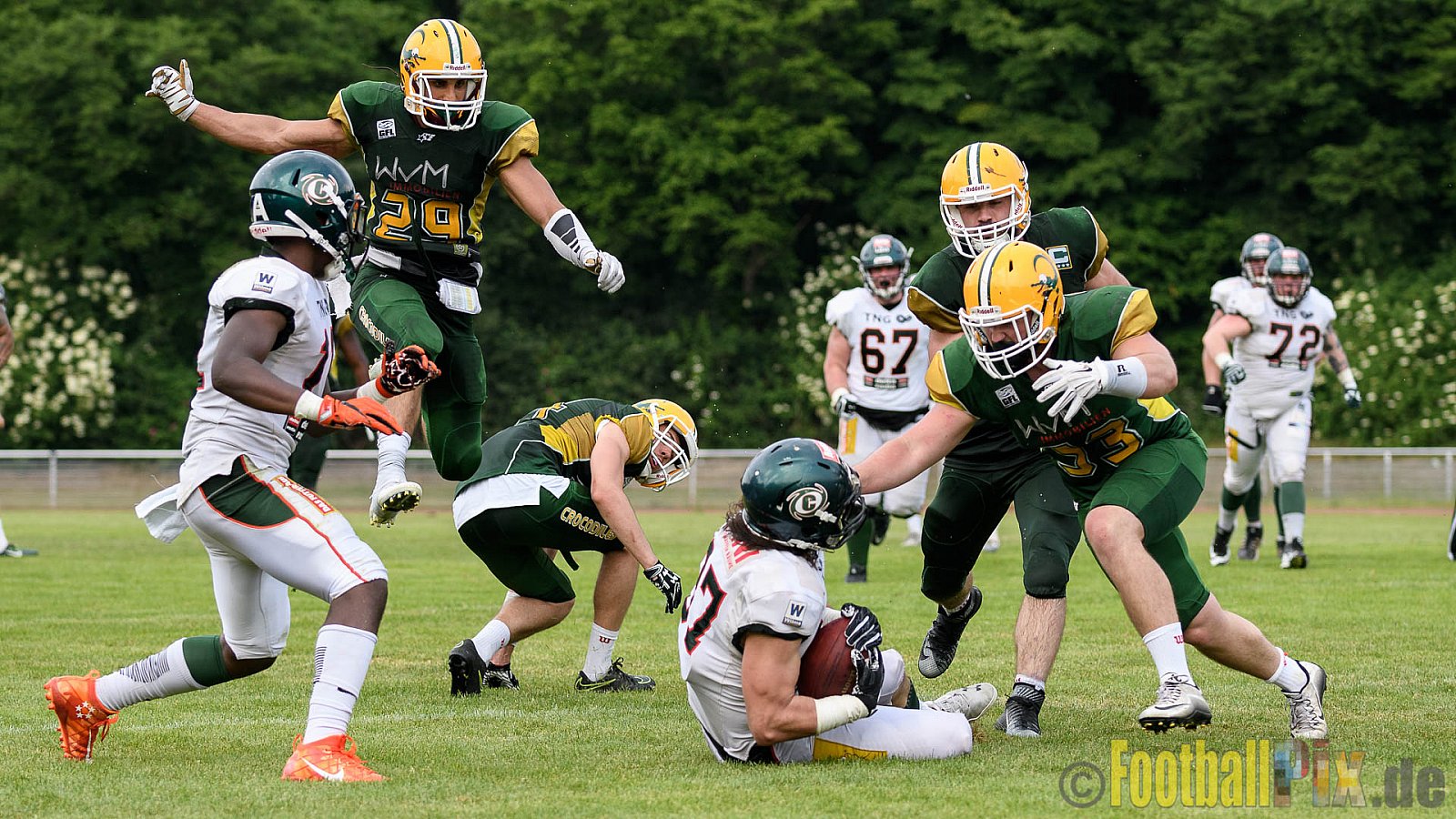 Cologne Crocodiles vs. Kiel Baltic Hurricanes - 29.05.2017 GFL Nord: Cologne Crocodiles vs. Kiel Baltic Hurricanes (41:65)