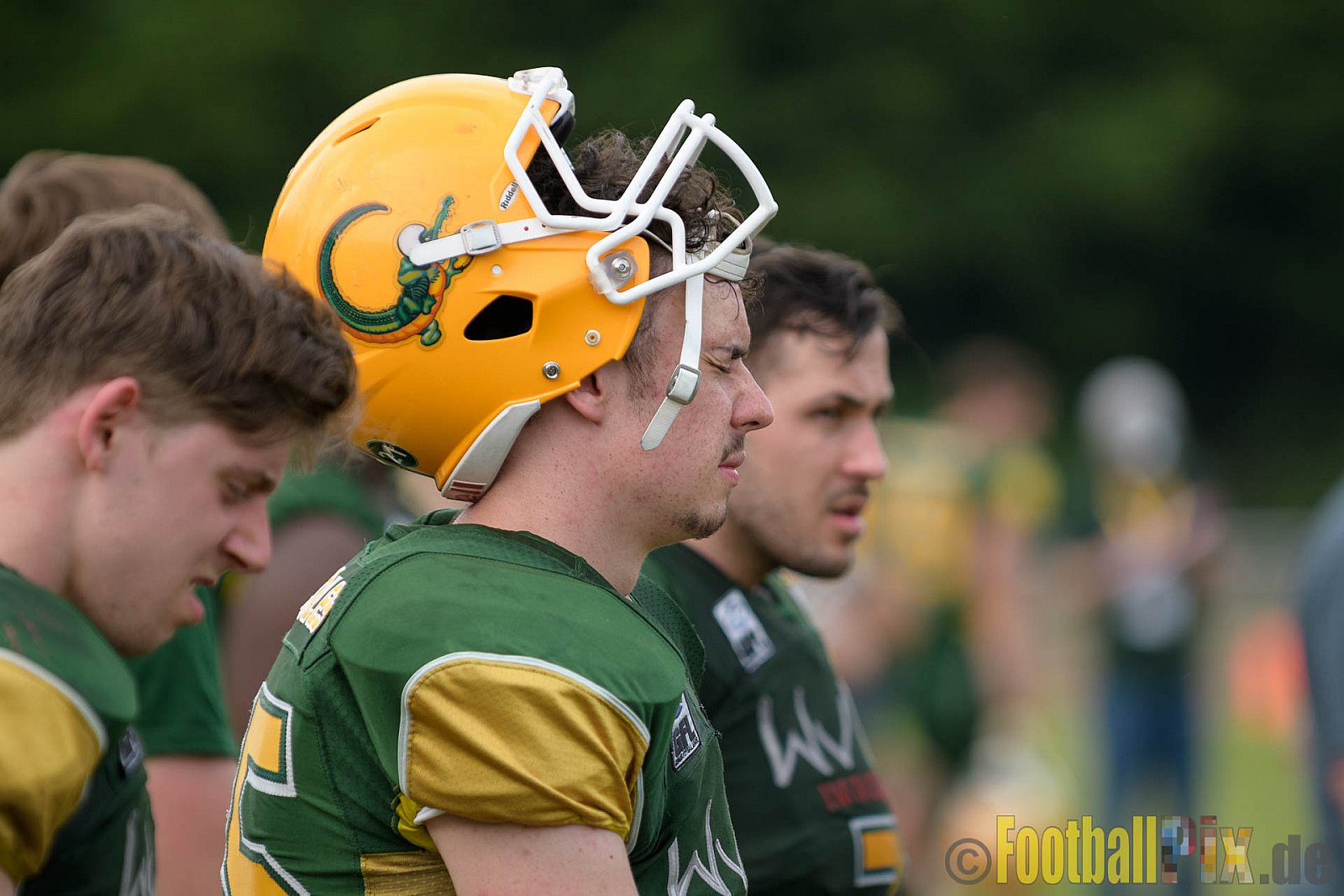 Cologne Crocodiles vs. Kiel Baltic Hurricanes - 29.05.2017 GFL Nord: Cologne Crocodiles vs. Kiel Baltic Hurricanes (41:65)