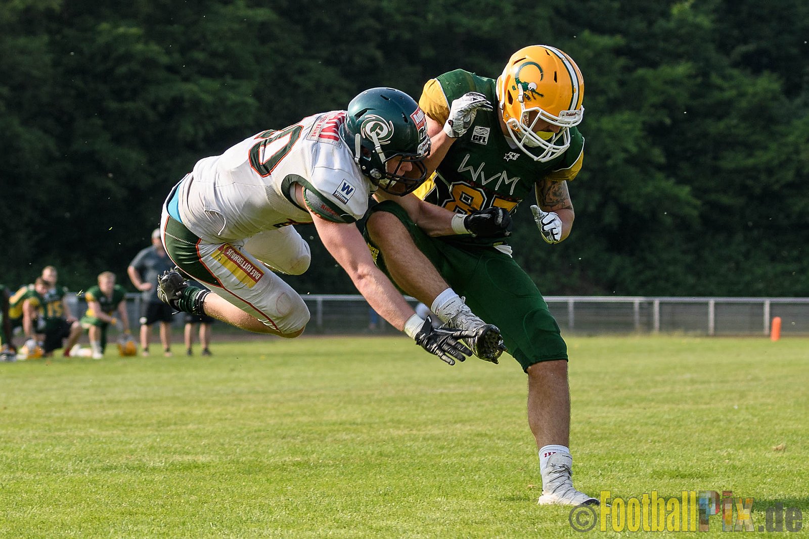 Cologne Crocodiles vs. Kiel Baltic Hurricanes - 29.05.2017 GFL Nord: Cologne Crocodiles vs. Kiel Baltic Hurricanes (41:65)