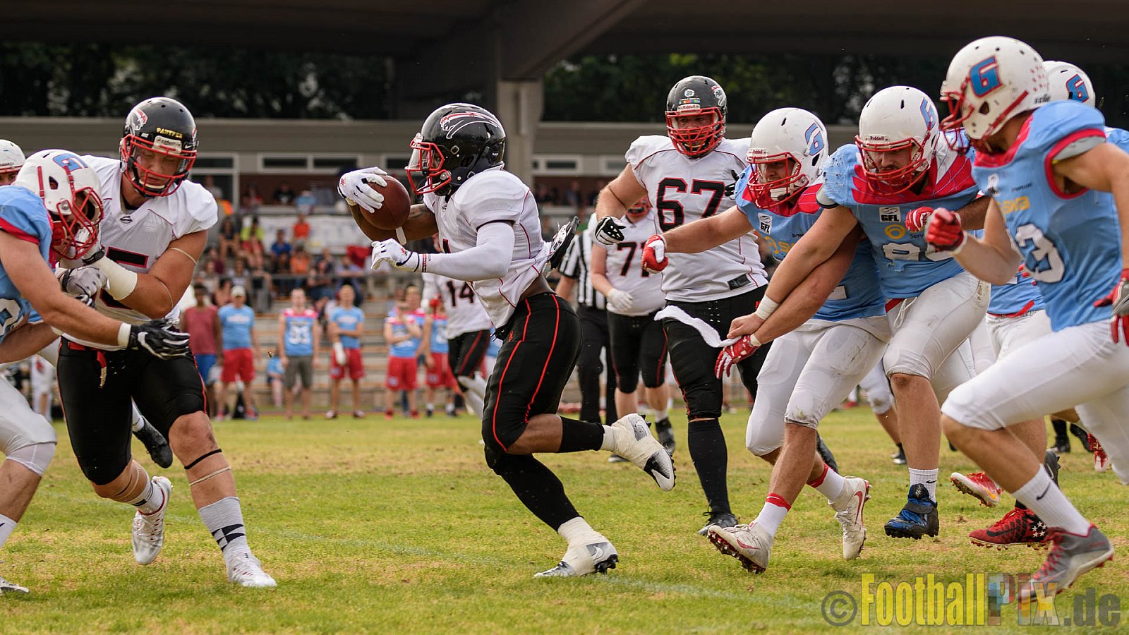 Bonn Gamecocks vs. Düsseldorf Panther - 03.06.2017 GFL2: Bonn Gamecocks vs. Düsseldorf Panther (21:49)