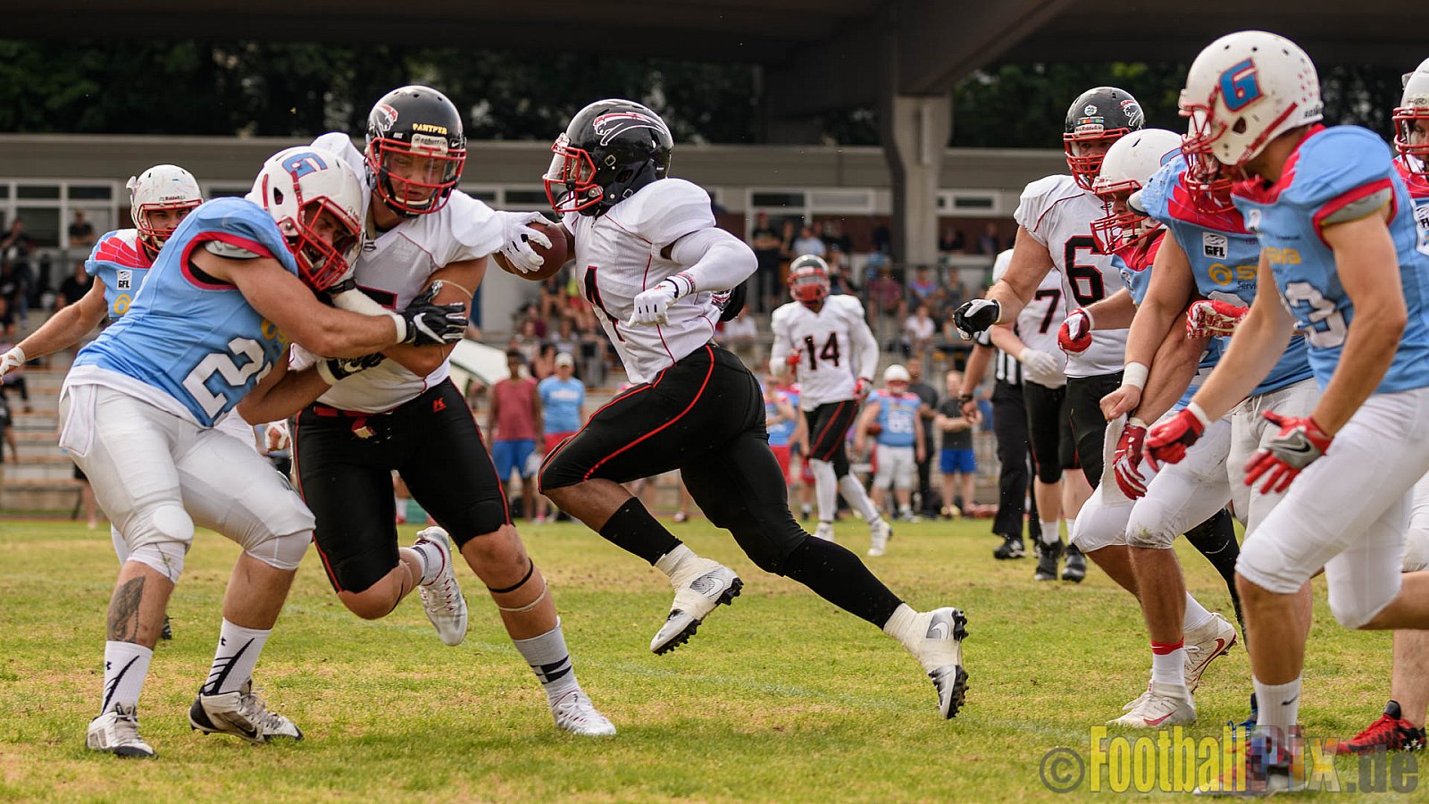 Bonn Gamecocks vs. Düsseldorf Panther - 03.06.2017 GFL2: Bonn Gamecocks vs. Düsseldorf Panther (21:49)