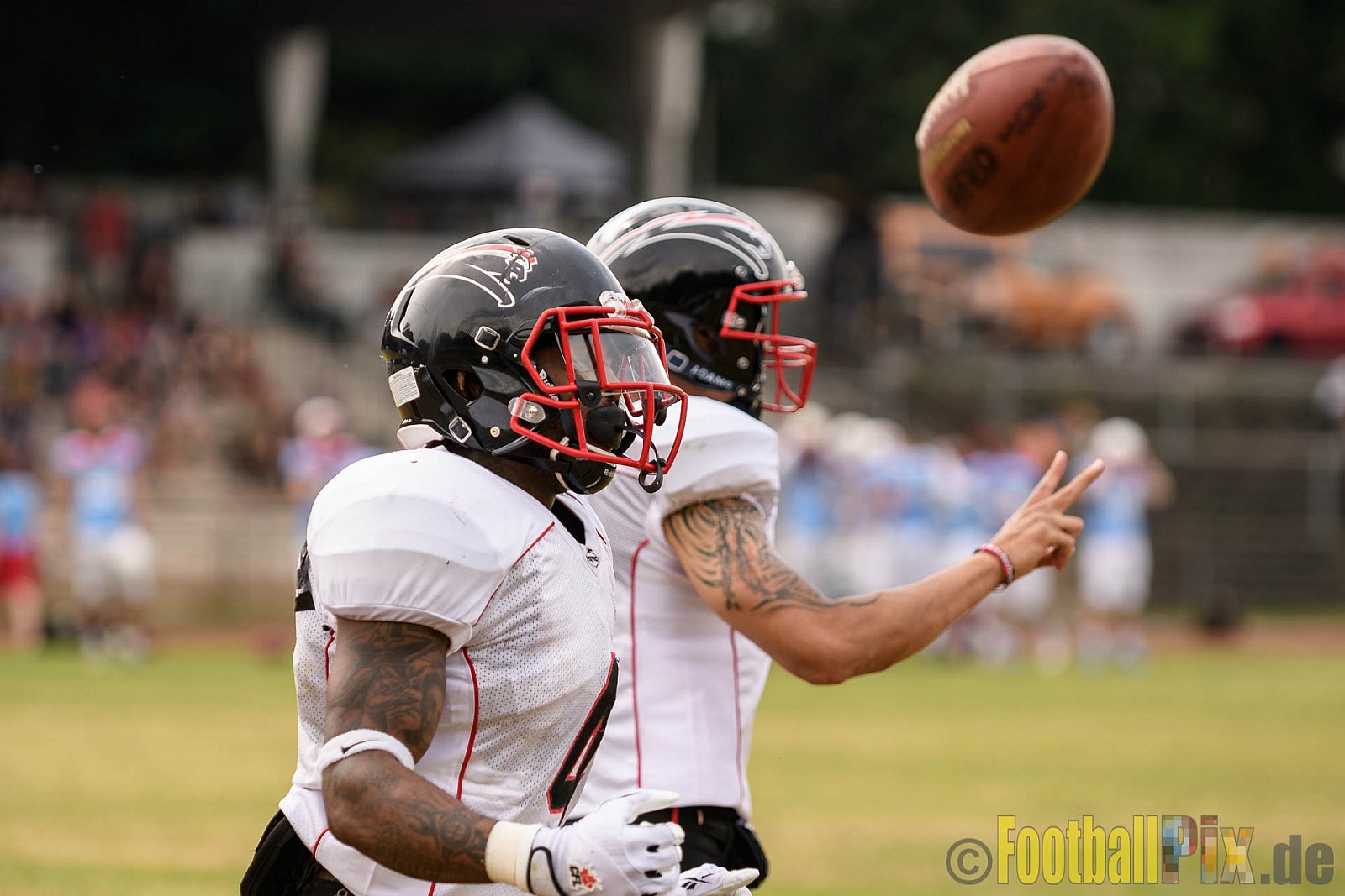 Bonn Gamecocks vs. Düsseldorf Panther - 03.06.2017 GFL2: Bonn Gamecocks vs. Düsseldorf Panther (21:49)
