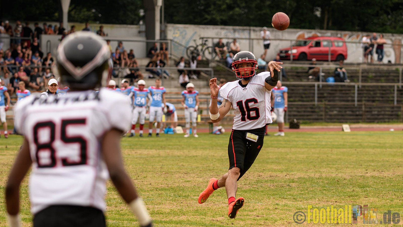 Bonn Gamecocks vs. Düsseldorf Panther - 03.06.2017 GFL2: Bonn Gamecocks vs. Düsseldorf Panther (21:49)