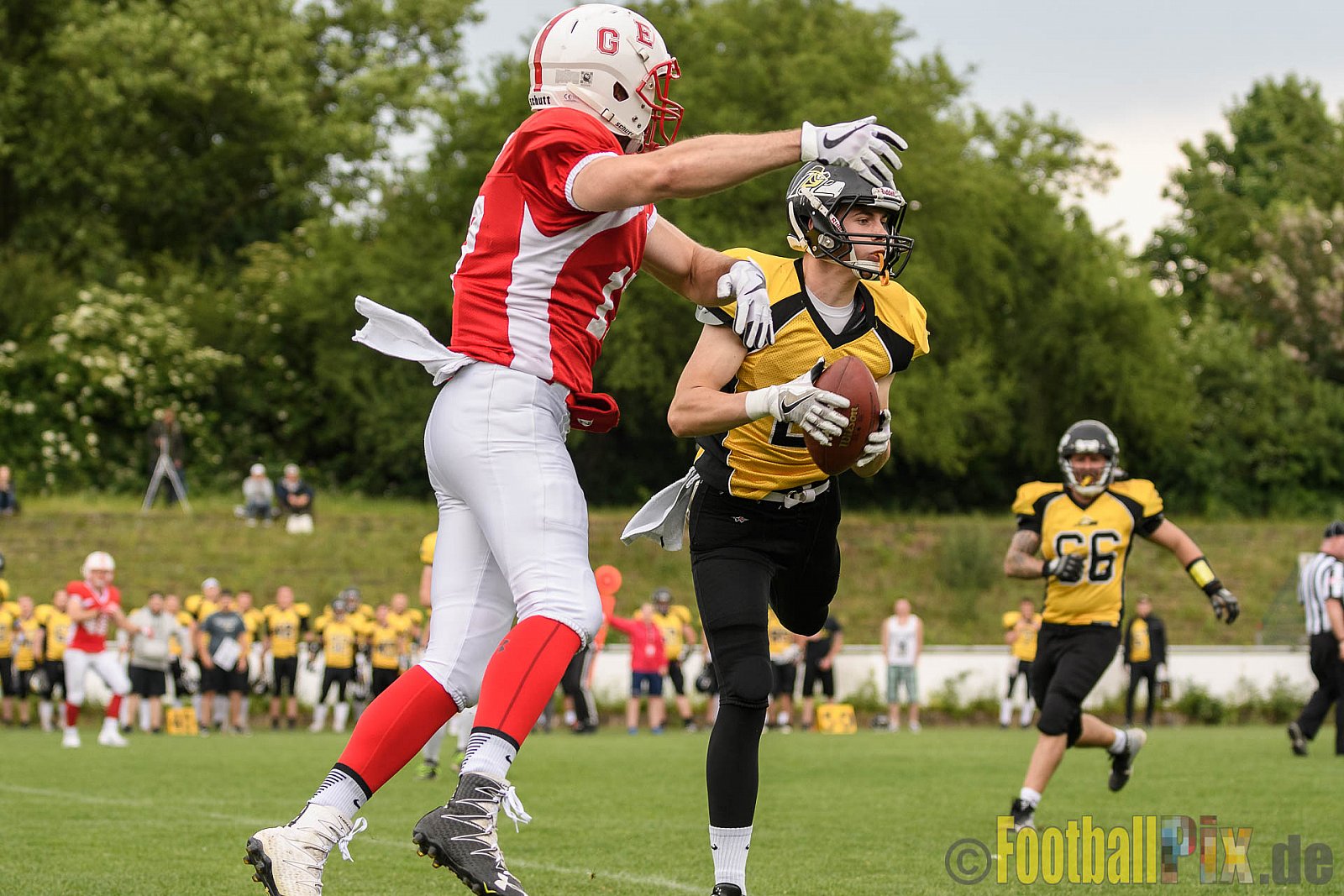 Gelsenkirchen Devils vs. Duisburg Thunderbirds - 04.06.2017 OL NRW: Gelsenkirchen Devils vs. Duisburg Thunderbirds (42:0)
