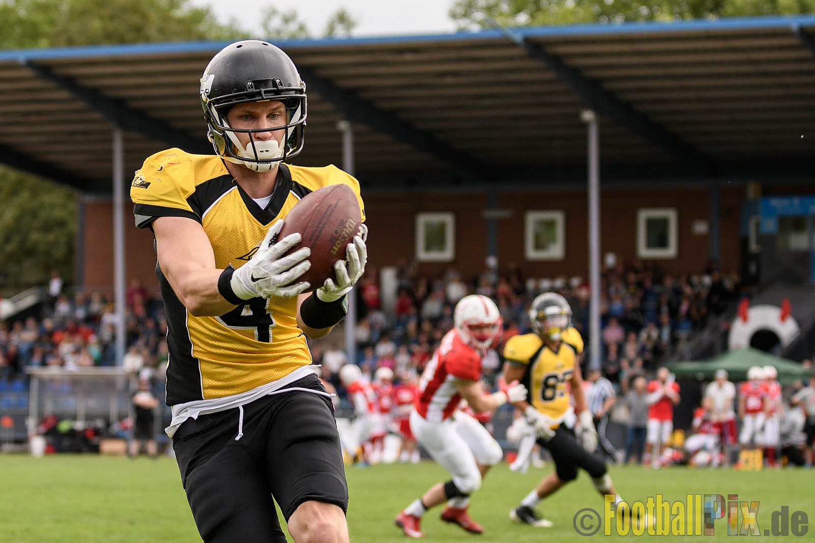 Gelsenkirchen Devils vs. Duisburg Thunderbirds - 04.06.2017 OL NRW: Gelsenkirchen Devils vs. Duisburg Thunderbirds (42:0)