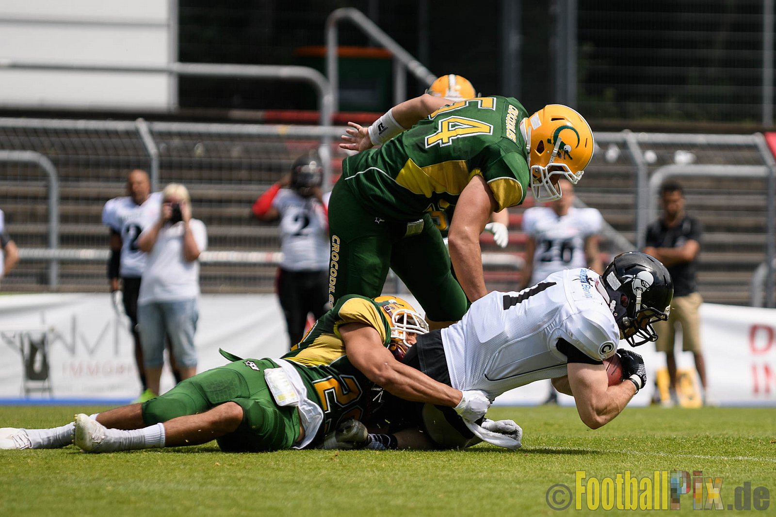 Cologne Crocodiles vs. Berlin Rebels - 11.06.2017 GFL Nord: Cologne Crocodiles vs. Berlin Rebels (34:29)