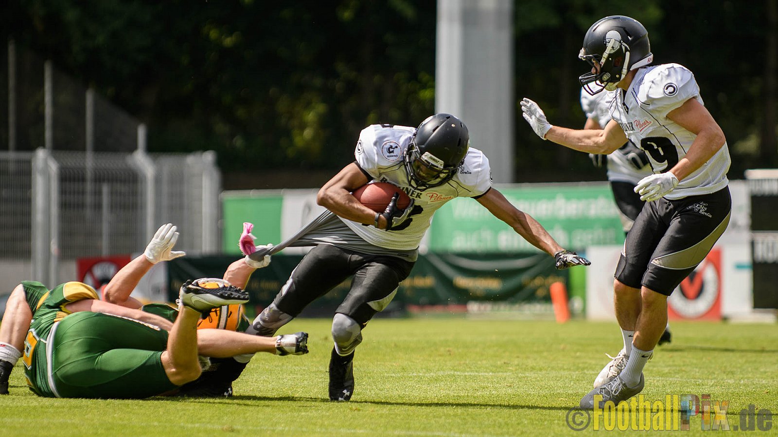 Cologne Crocodiles vs. Berlin Rebels - 11.06.2017 GFL Nord: Cologne Crocodiles vs. Berlin Rebels (34:29)