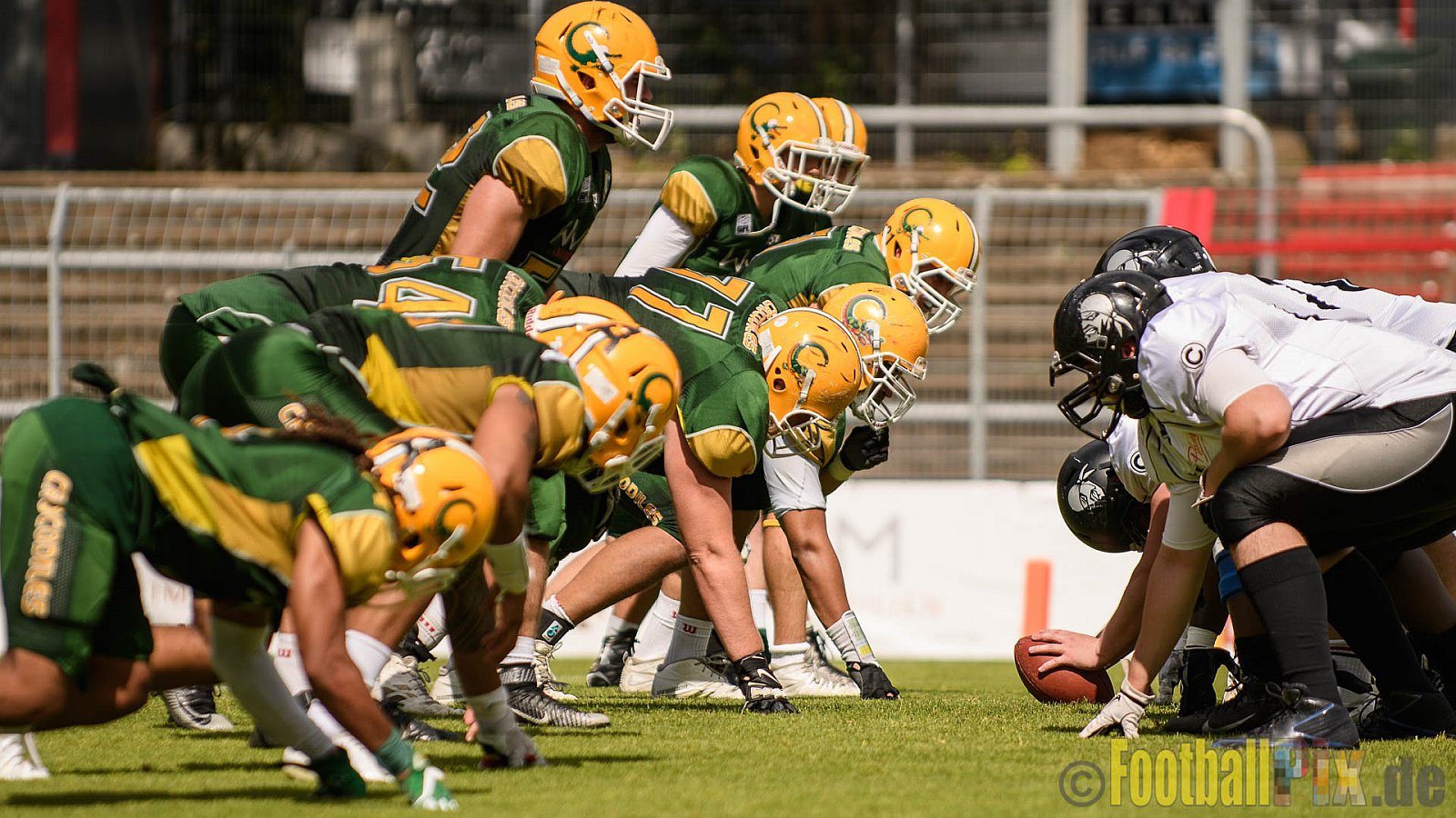 Cologne Crocodiles vs. Berlin Rebels - 11.06.2017 GFL Nord: Cologne Crocodiles vs. Berlin Rebels (34:29)