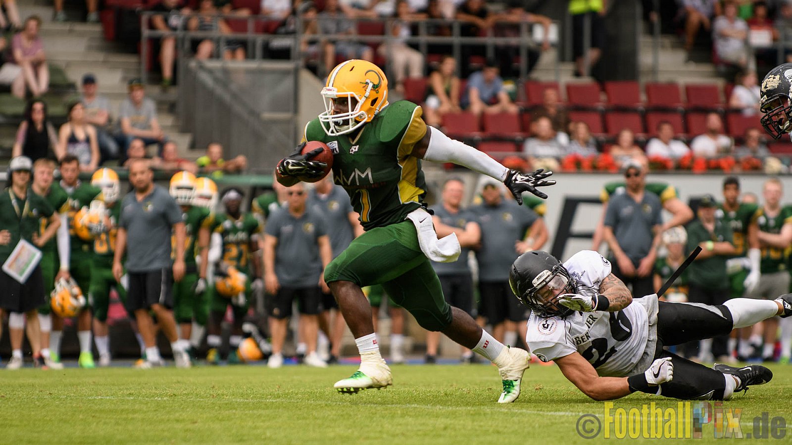 Cologne Crocodiles vs. Berlin Rebels - 11.06.2017 GFL Nord: Cologne Crocodiles vs. Berlin Rebels (34:29)