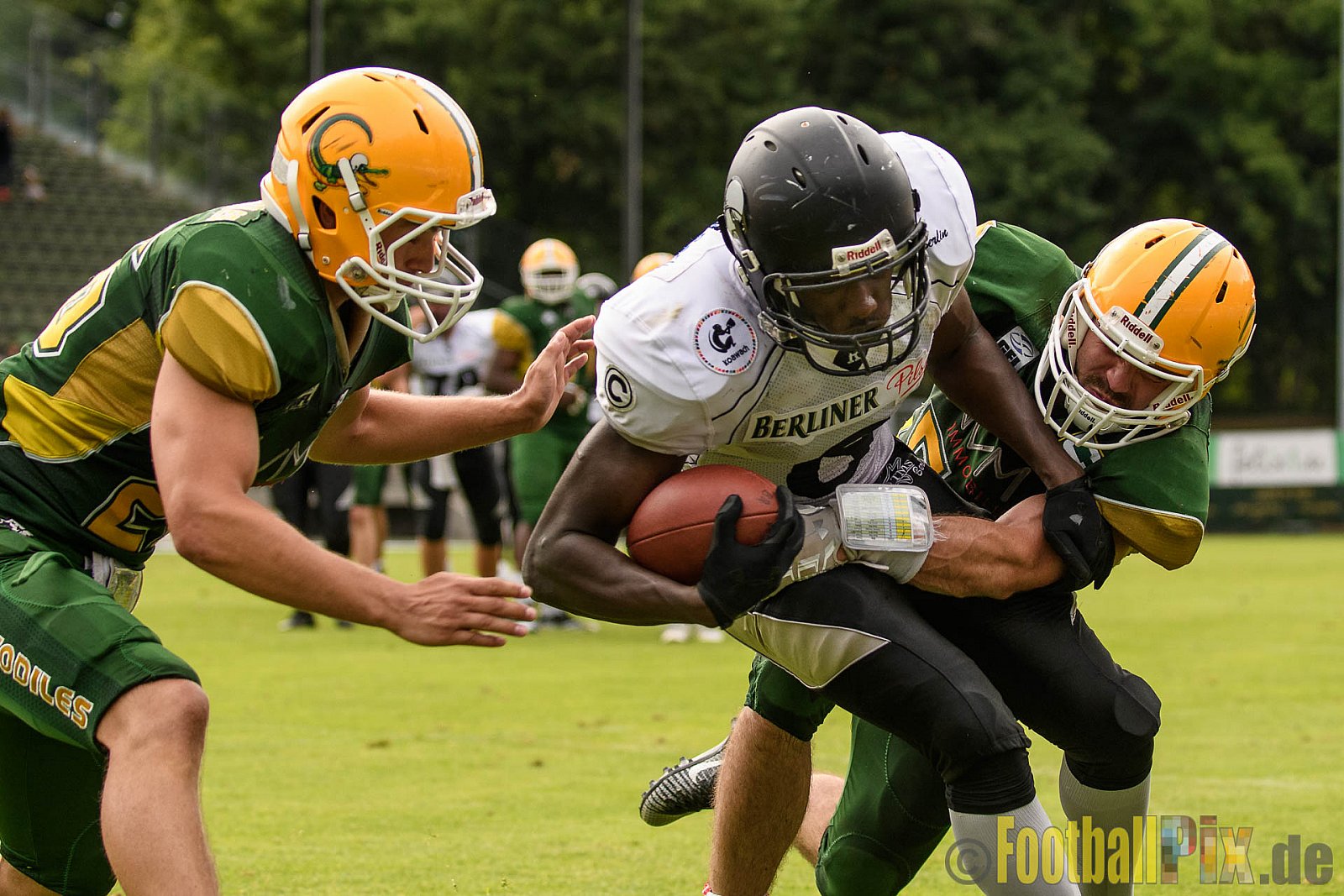 Cologne Crocodiles vs. Berlin Rebels - 11.06.2017 GFL Nord: Cologne Crocodiles vs. Berlin Rebels (34:29)
