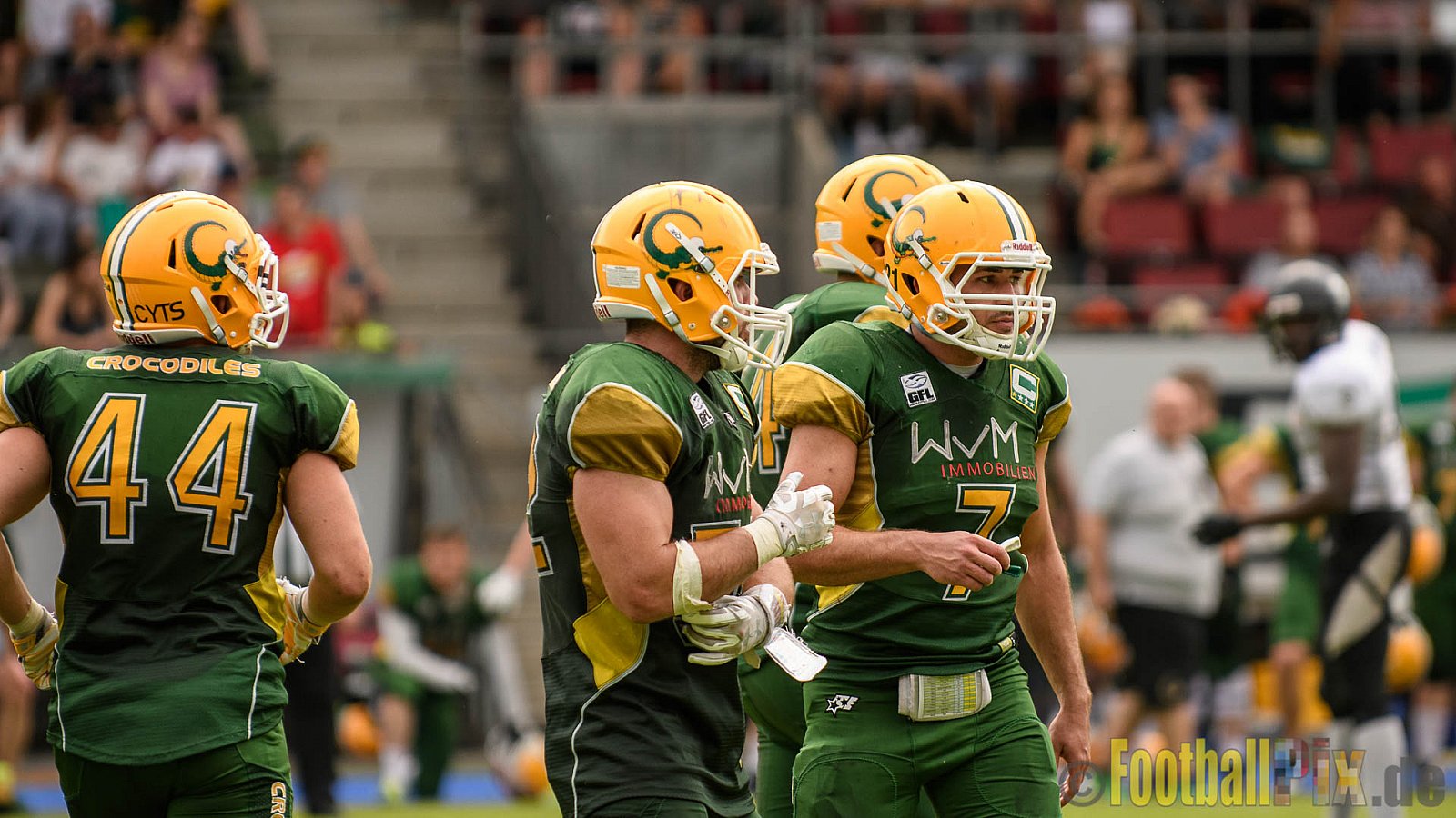 Cologne Crocodiles vs. Berlin Rebels - 11.06.2017 GFL Nord: Cologne Crocodiles vs. Berlin Rebels (34:29)