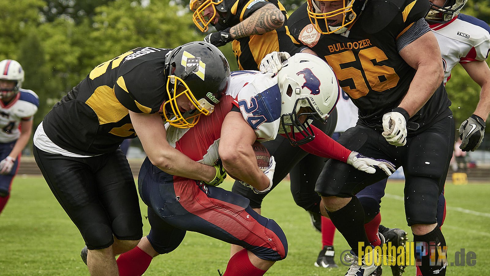 Düsseldorf Bulldozer vs. Kreis Heinsberg Bisons - 17.06.2017 LL NRW: Düsseldorf Bulldozer vs. Kreis Heinsberg Bisons (63:28)