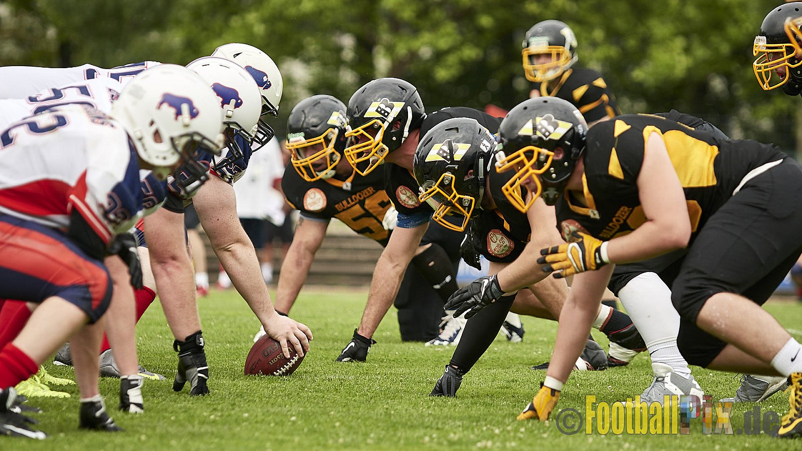 Düsseldorf Bulldozer vs. Kreis Heinsberg Bisons - 17.06.2017 LL NRW: Düsseldorf Bulldozer vs. Kreis Heinsberg Bisons (63:28)