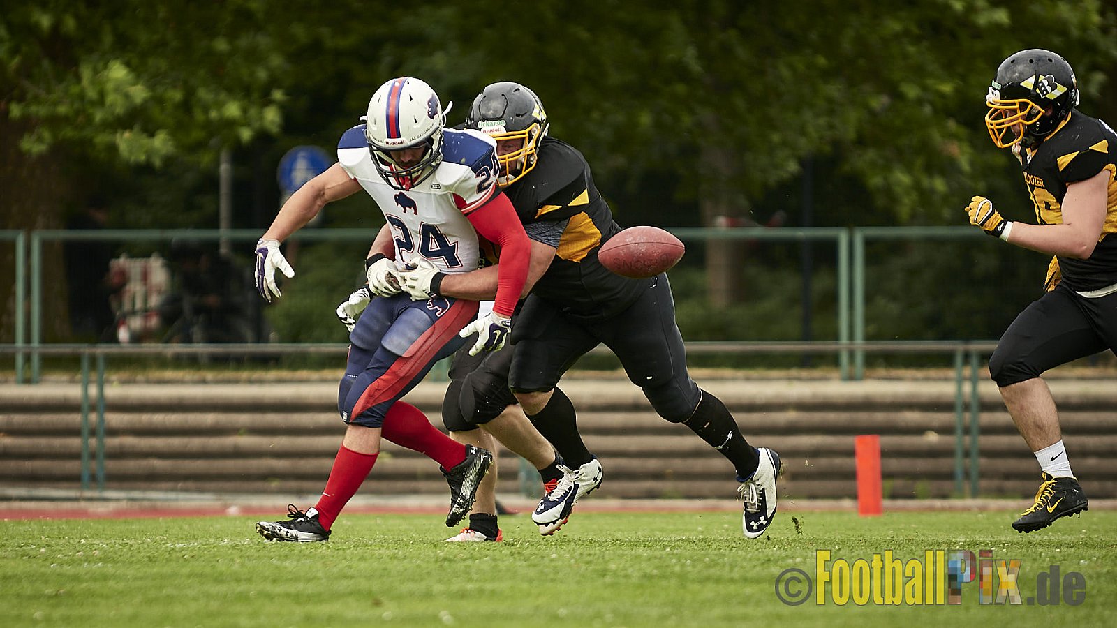 Düsseldorf Bulldozer vs. Kreis Heinsberg Bisons - 17.06.2017 LL NRW: Düsseldorf Bulldozer vs. Kreis Heinsberg Bisons (63:28)