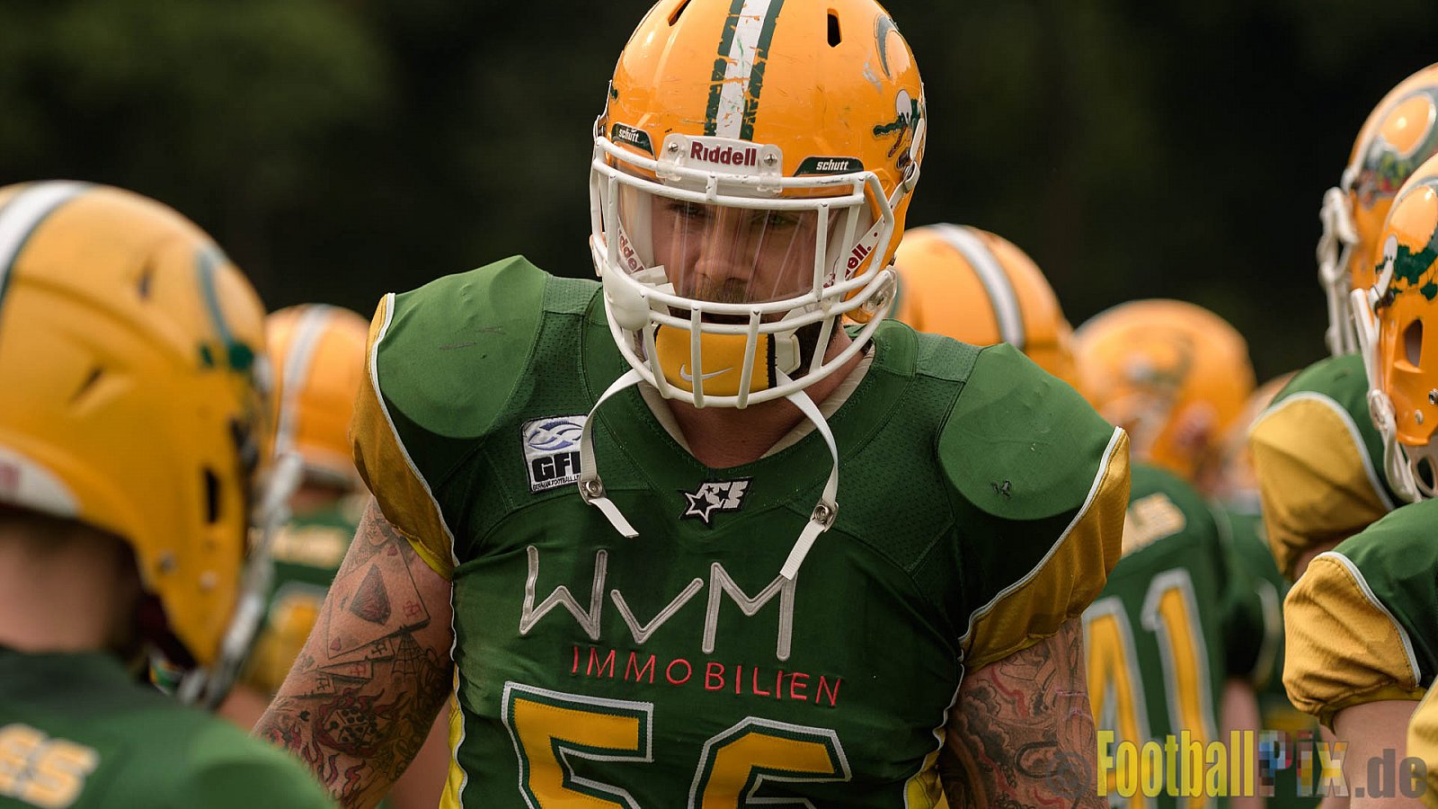 Cologne Crocodiles vs. Hamburg Huskies - 09.07.2017 GFL Nord: Cologne Crocodiles vs. Hamburg Huskies (51:16)