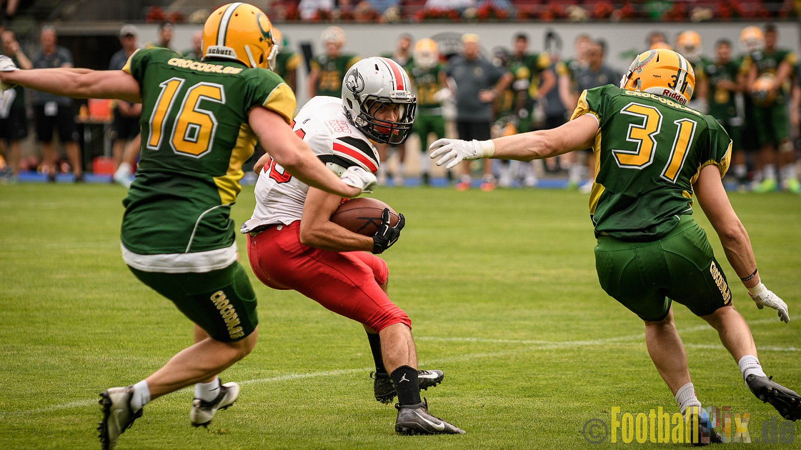 Cologne Crocodiles vs. Hamburg Huskies - 09.07.2017 GFL Nord: Cologne Crocodiles vs. Hamburg Huskies (51:16)