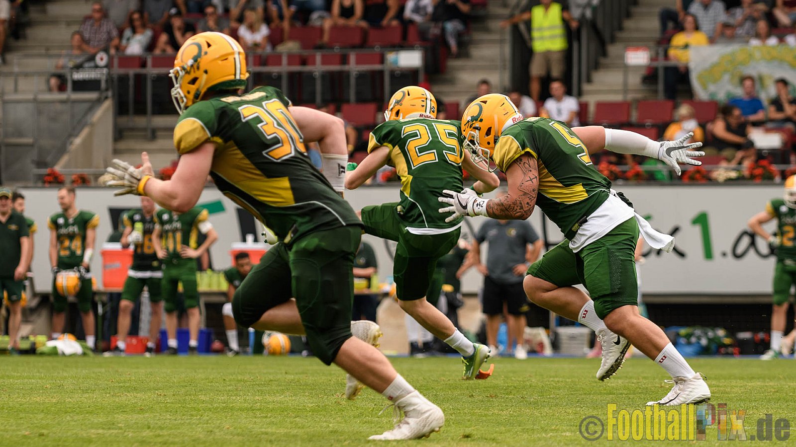 Cologne Crocodiles vs. Hamburg Huskies - 09.07.2017 GFL Nord: Cologne Crocodiles vs. Hamburg Huskies (51:16)