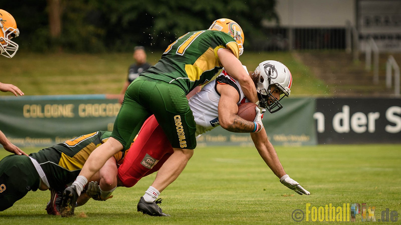 Cologne Crocodiles vs. Hamburg Huskies - 09.07.2017 GFL Nord: Cologne Crocodiles vs. Hamburg Huskies (51:16)