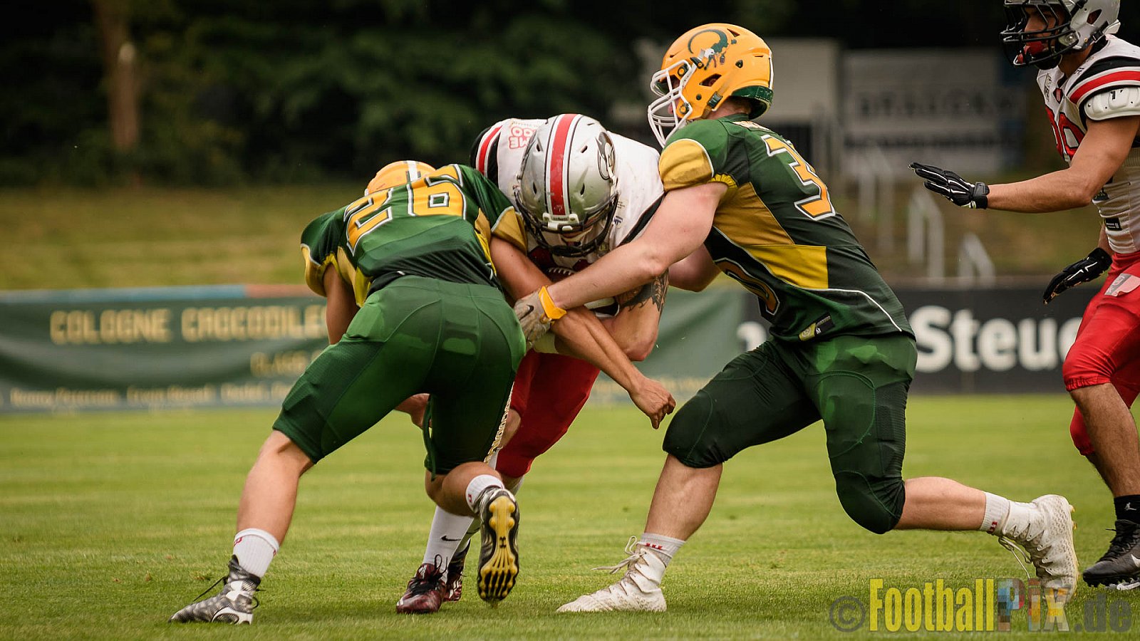 Cologne Crocodiles vs. Hamburg Huskies - 09.07.2017 GFL Nord: Cologne Crocodiles vs. Hamburg Huskies (51:16)