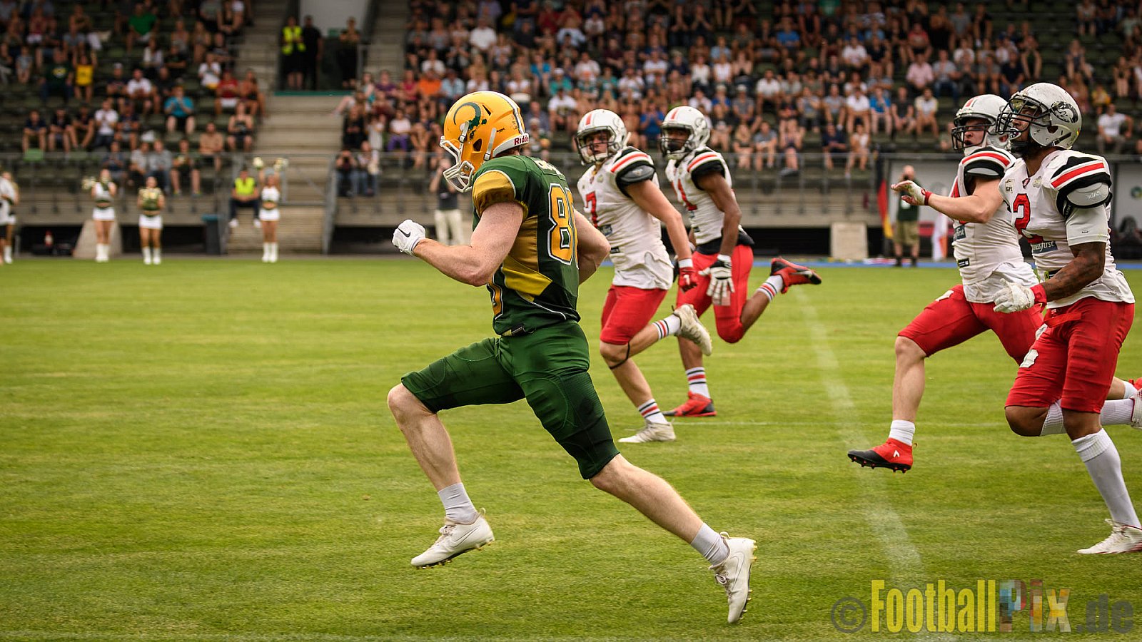 Cologne Crocodiles vs. Hamburg Huskies - 09.07.2017 GFL Nord: Cologne Crocodiles vs. Hamburg Huskies (51:16)