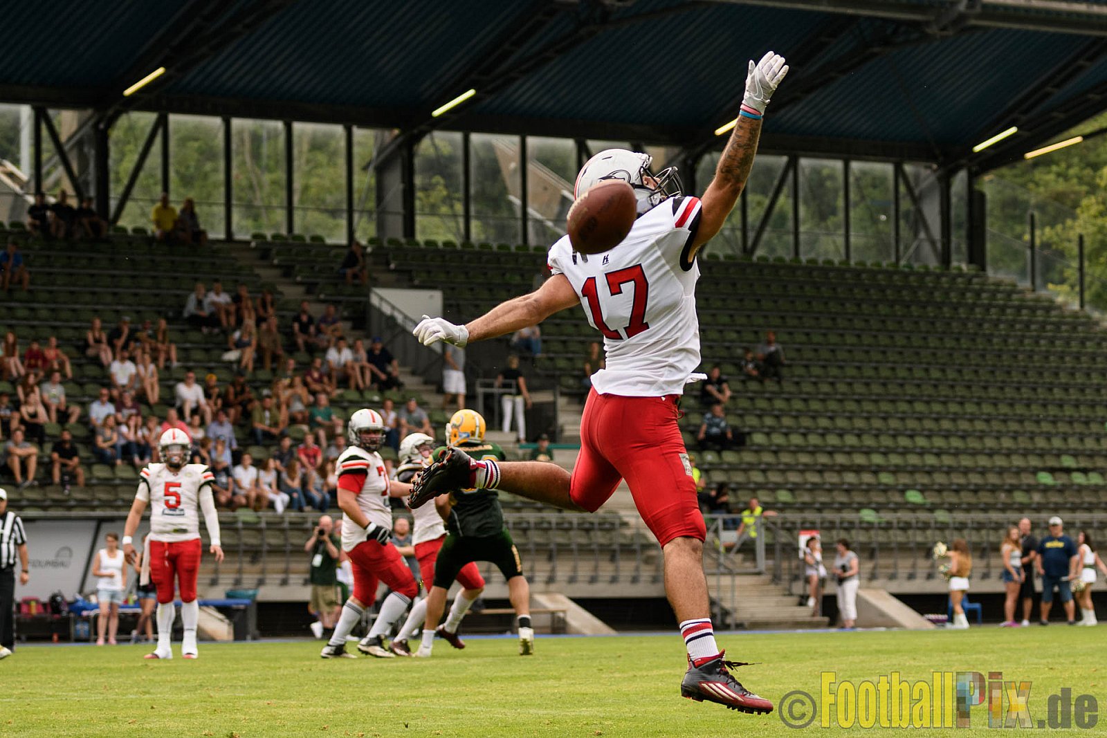 Cologne Crocodiles vs. Hamburg Huskies - 09.07.2017 GFL Nord: Cologne Crocodiles vs. Hamburg Huskies (51:16)