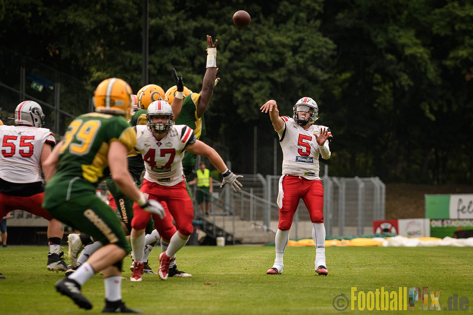 Cologne Crocodiles vs. Hamburg Huskies - 09.07.2017 GFL Nord: Cologne Crocodiles vs. Hamburg Huskies (51:16)