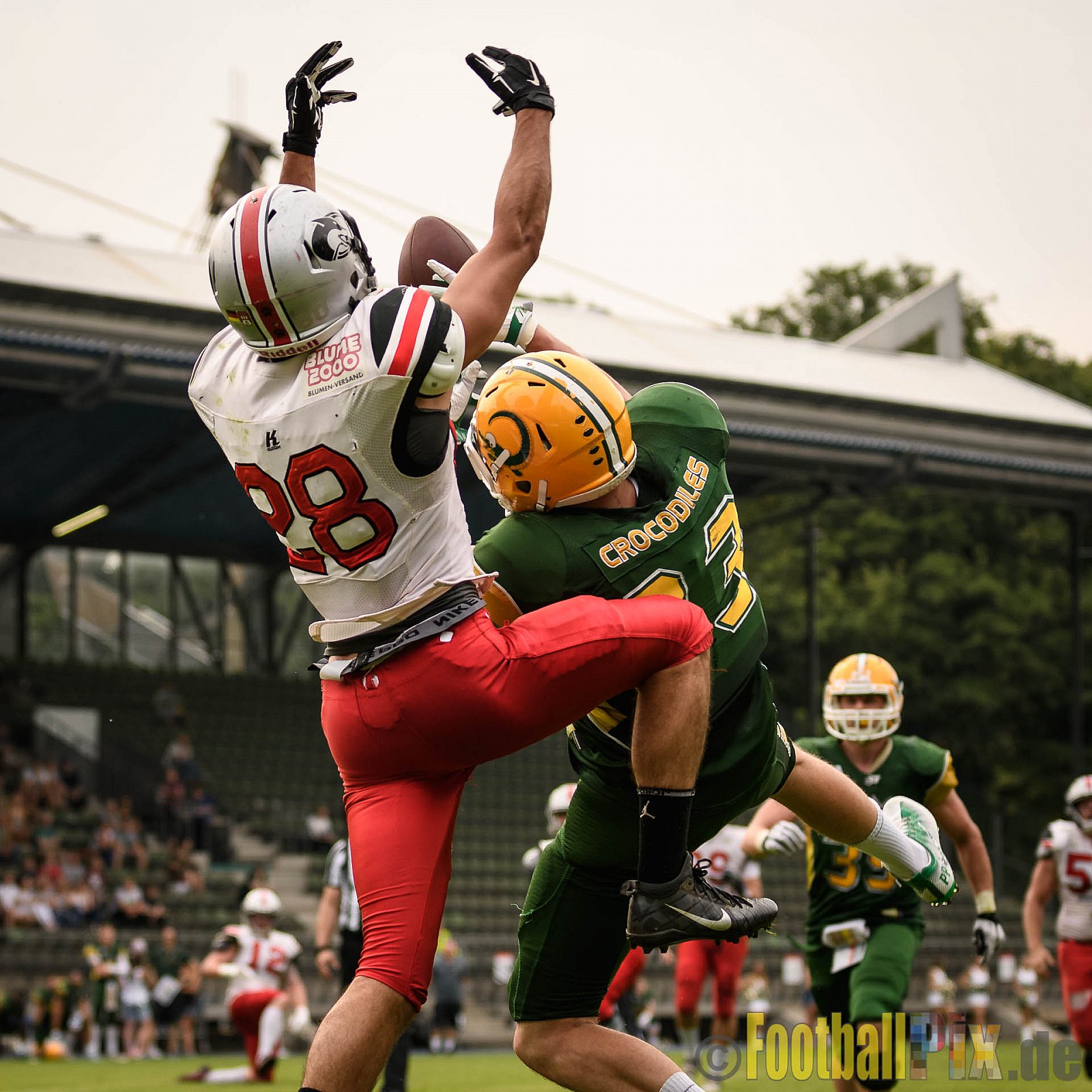 Cologne Crocodiles vs. Hamburg Huskies - 09.07.2017 GFL Nord: Cologne Crocodiles vs. Hamburg Huskies (51:16)