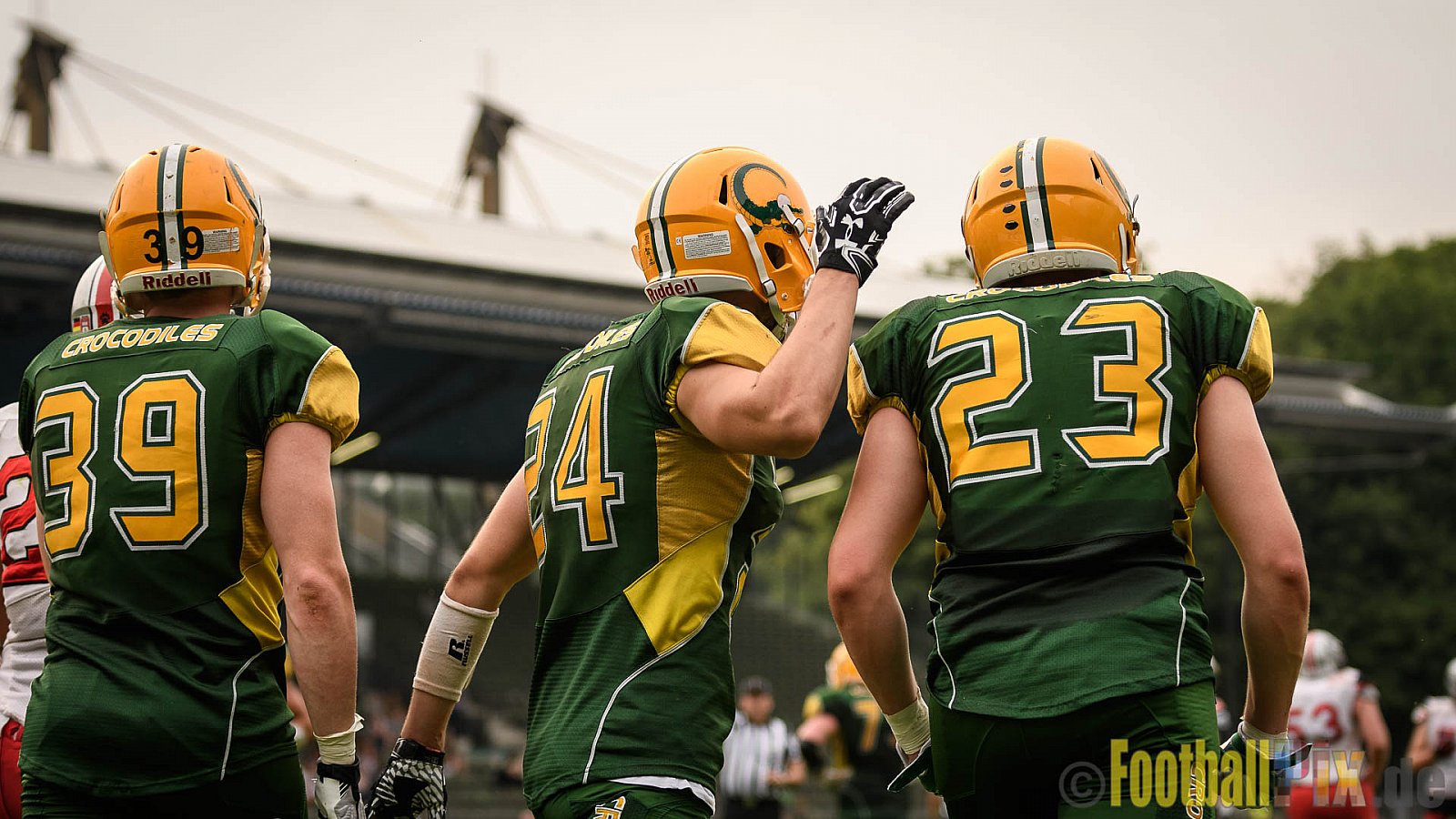 Cologne Crocodiles vs. Hamburg Huskies - 09.07.2017 GFL Nord: Cologne Crocodiles vs. Hamburg Huskies (51:16)