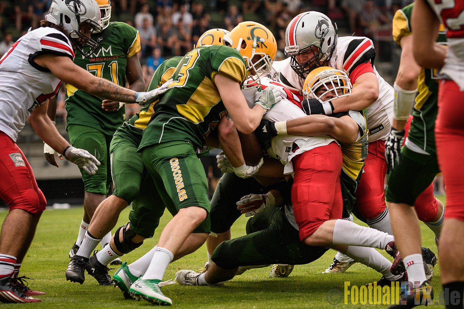Cologne Crocodiles vs. Hamburg Huskies - 09.07.2017 GFL Nord: Cologne Crocodiles vs. Hamburg Huskies (51:16)
