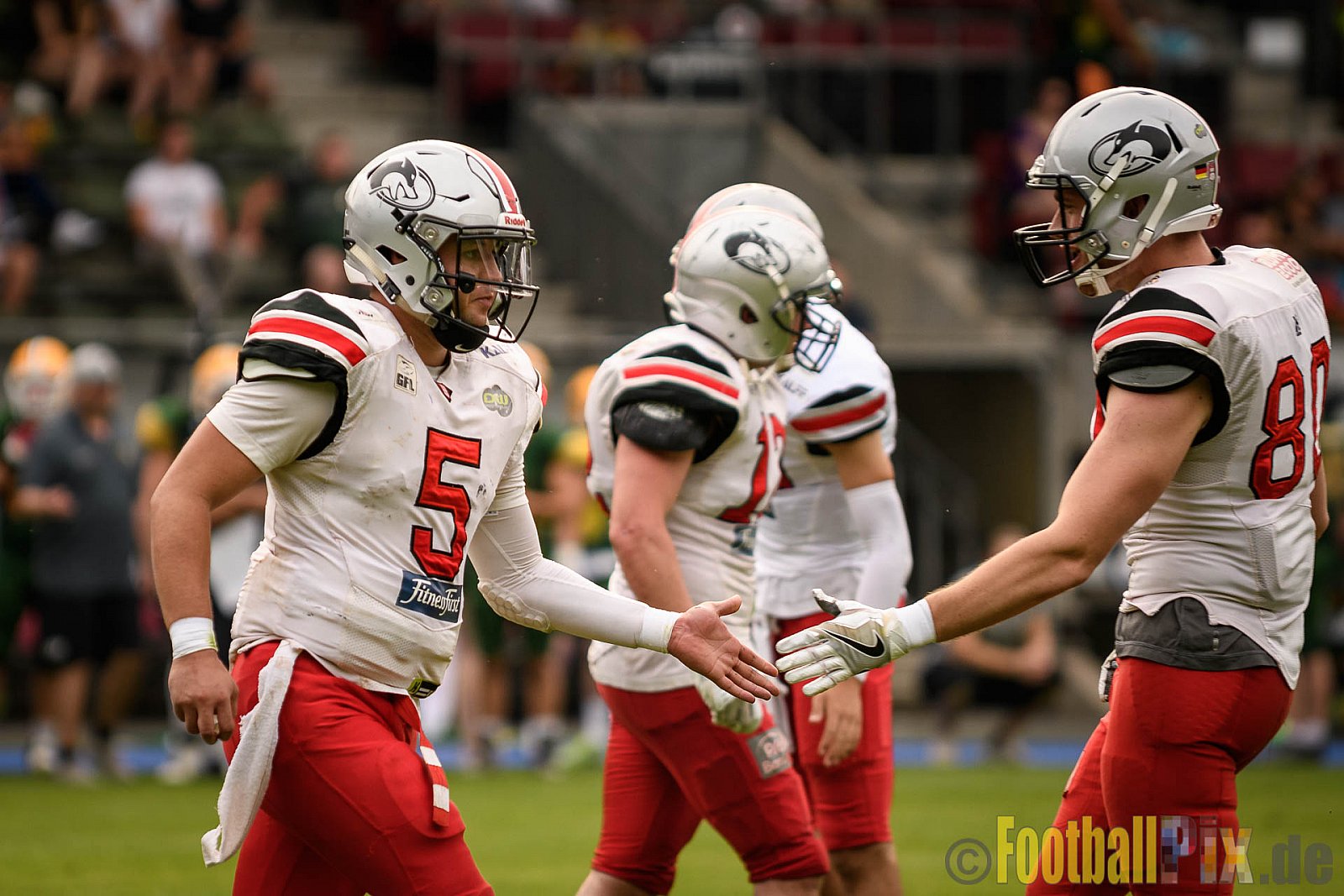 Cologne Crocodiles vs. Hamburg Huskies - 09.07.2017 GFL Nord: Cologne Crocodiles vs. Hamburg Huskies (51:16)