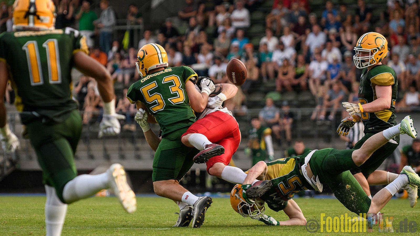 Cologne Crocodiles vs. Hamburg Huskies - 09.07.2017 GFL Nord: Cologne Crocodiles vs. Hamburg Huskies (51:16)
