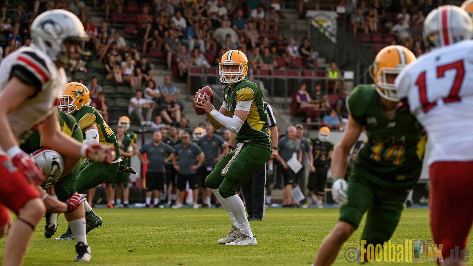 Cologne Crocodiles vs. Hamburg Huskies - 09.07.2017 GFL Nord: Cologne Crocodiles vs. Hamburg Huskies (51:16)