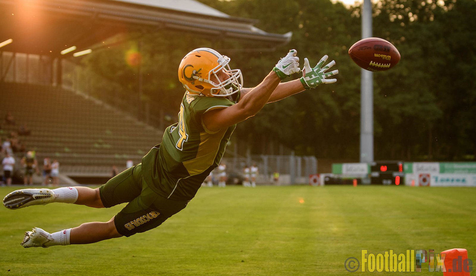 Cologne Crocodiles vs. Hamburg Huskies - 09.07.2017 GFL Nord: Cologne Crocodiles vs. Hamburg Huskies (51:16)