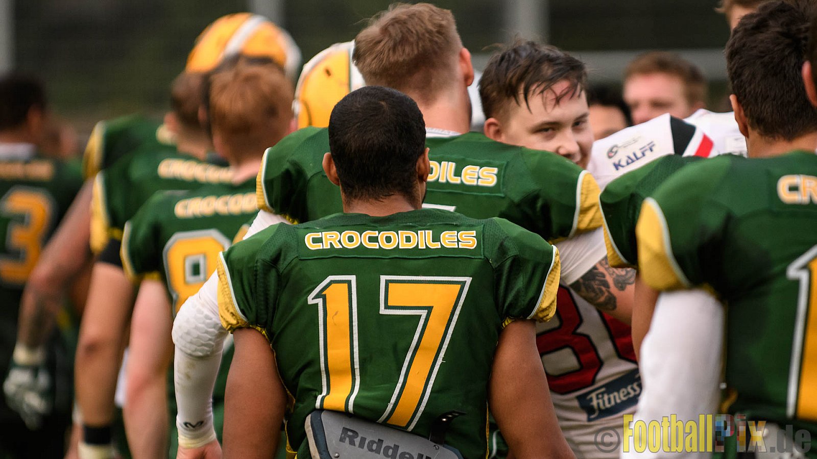 Cologne Crocodiles vs. Hamburg Huskies - 09.07.2017 GFL Nord: Cologne Crocodiles vs. Hamburg Huskies (51:16)