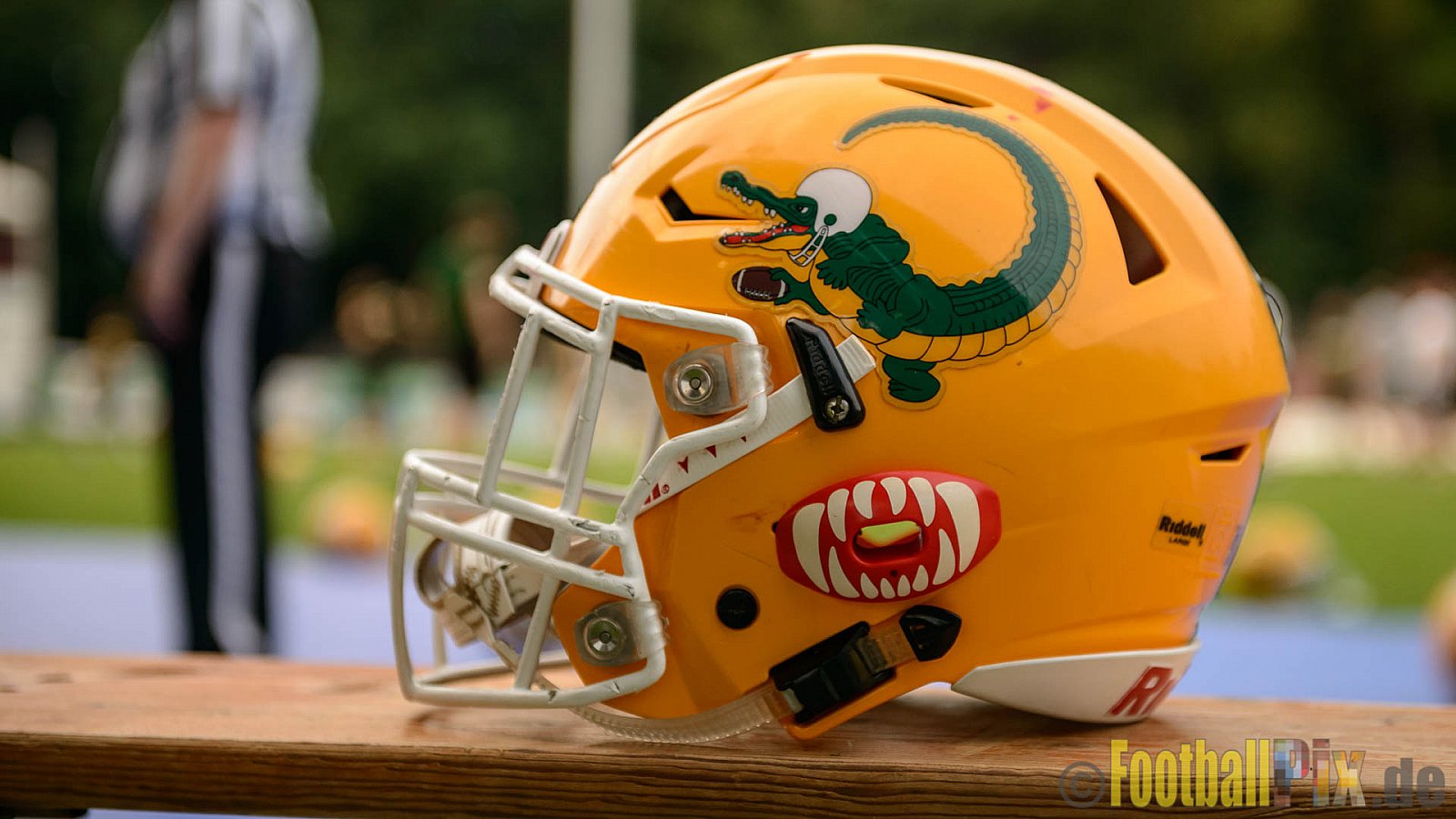 Cologne Crocodiles vs. Hamburg Huskies - 09.07.2017 GFL Nord: Cologne Crocodiles vs. Hamburg Huskies (51:16)