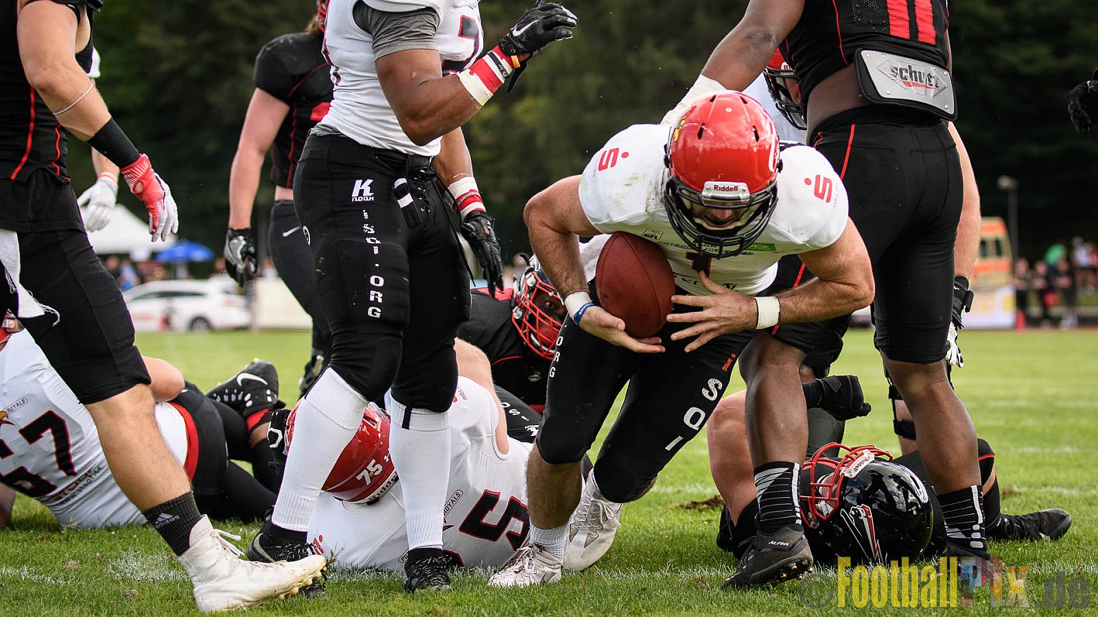Düsseldorf Panther vs. Potsdam Royals - 29.07.2017 GFL2: Düsseldorf Panther vs. Potsdam Royals (7:30)