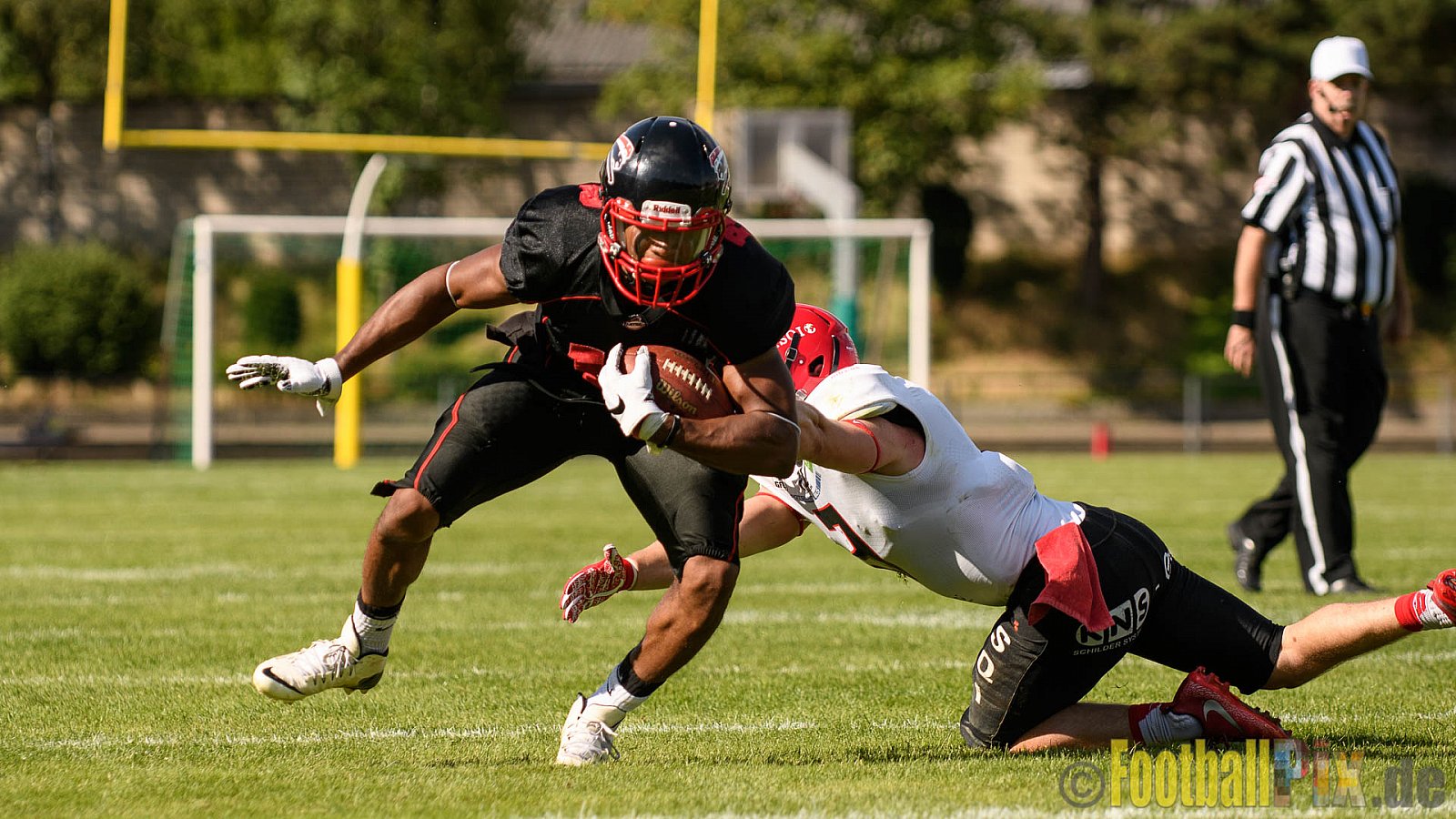 Düsseldorf Panther vs. Potsdam Royals - 29.07.2017 GFL2: Düsseldorf Panther vs. Potsdam Royals (7:30)