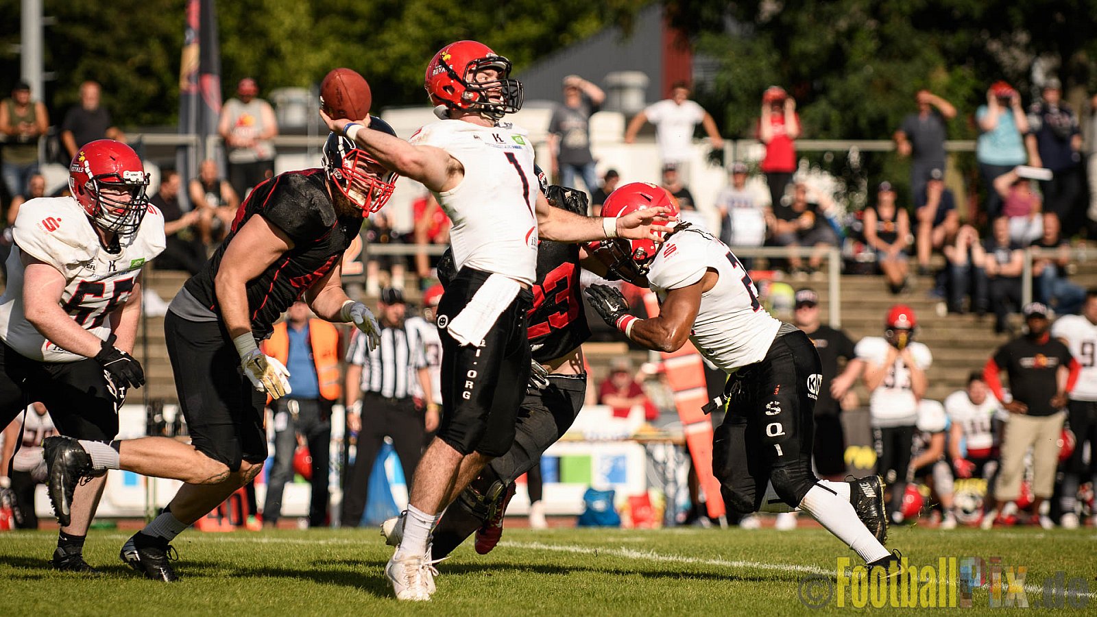 Düsseldorf Panther vs. Potsdam Royals - 29.07.2017 GFL2: Düsseldorf Panther vs. Potsdam Royals (7:30)