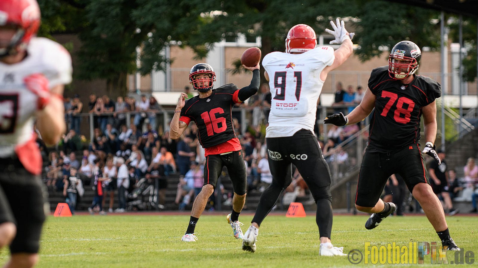 Düsseldorf Panther vs. Potsdam Royals - 29.07.2017 GFL2: Düsseldorf Panther vs. Potsdam Royals (7:30)
